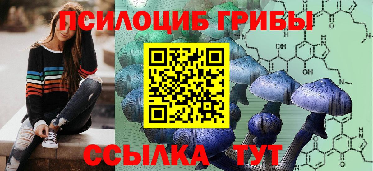 Псилоцибиновые грибы прущие грибы  Вход с VPN  Черняховск 