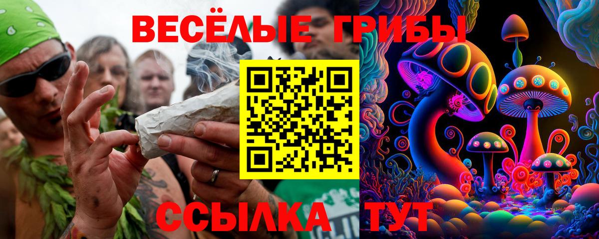 Псилоцибиновые грибы ЛСД Черняховск